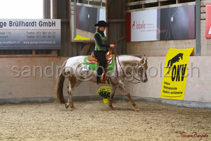 31-ApHC OWP_039.jpg